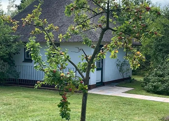 Apartment Wohnung-moewennest *